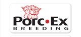 Porc Ex